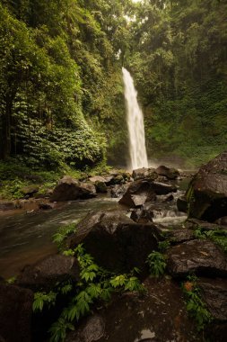 Şelale manzarası. Tropikal yağmur ormanlarında saklı güzel bir şelale. Büyük taşlı ön plan. Yavaş deklanşör hızı, hareket fotoğrafçılığı. Seyahat ve macera. Nung Nung Şelalesi, Bali, Endonezya
