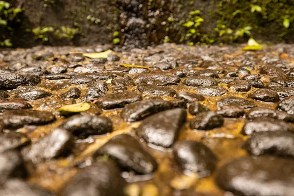 Wet stones. Texture background. Selected art focus. Blurred foreground and background. Horizontal layout. Copy space.