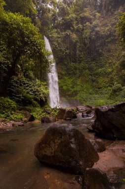 Şelale manzarası. Tropikal yağmur ormanlarında saklı güzel bir şelale. Büyük taşlı ön plan. Yavaş deklanşör hızı, hareket fotoğrafçılığı. Seyahat ve macera. Nung Nung Şelalesi, Bali, Endonezya