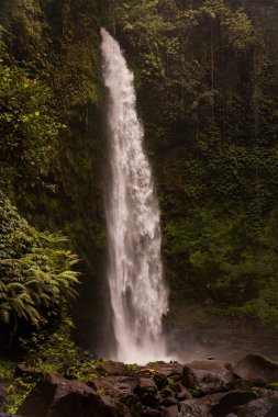 Şelale manzarası. Tropikal yağmur ormanlarında saklı güzel bir şelale. Büyük taşlı ön plan. Yavaş deklanşör hızı, hareket fotoğrafçılığı. Seyahat ve macera. Nung Nung Şelalesi, Bali, Endonezya