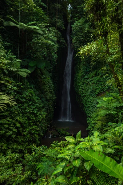 Paisaje Cascada Hermosa Cascada Oculta Leke Leke Bali Paisajes Tropicales — Foto de Stock