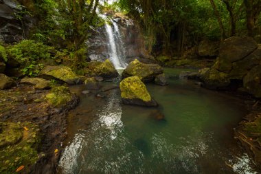 Tropik bir manzara. Yağmur ormanlarında saklı güzel bir şelale. Büyük taşlı ön plan. Macera konsepti. Doğa geçmişi. Hızlı deklanşör hızı. Sing Sing Angin Şelalesi, Bali, Endonezya