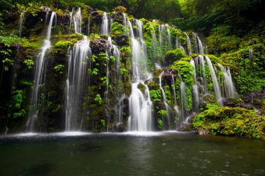 Tropik bir manzara. Yağmur ormanlarında saklı güzel bir şelale. Macera ve seyahat konsepti. Doğa geçmişi. Yavaş deklanşör hızı, hareket fotoğrafçılığı. Banyu Wana Amertha Şelalesi Bali, Endonezya