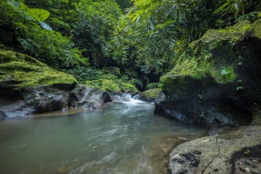 Tropik bir manzara. Ormandaki nehir. Su akışı. Yeşil bitkiler. Yumuşak odaklanma. Yavaş deklanşör hızı, hareket fotoğrafçılığı. Doğa geçmişi. Çevre konsepti. Yatay yerleşim planı. Bangli, Bali Endonezya