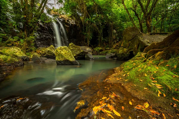 Paysage Tropical Belle Cascade Cachée Dans Forêt Tropicale Concept Aventure — Photo