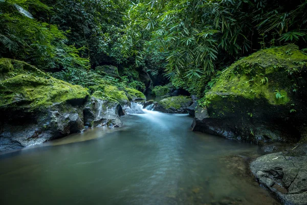 Tropische Landschaft Fluss Regenwald Wasser Fließt Grüne Pflanzen Weicher Fokus — Stockfoto