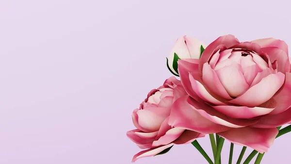 Render Fondo Rosa Con Flores Para Marzo — Foto de Stock