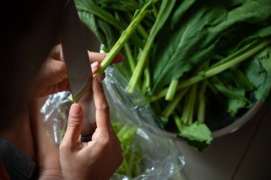 Kızarmış sebzeler için sebze kesmeye hazırlanan genç kadın..