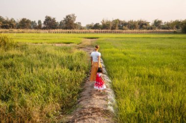 Güneş ışığında bir buğday tarlasında el ele tutuşan anne ve kızın elleri..