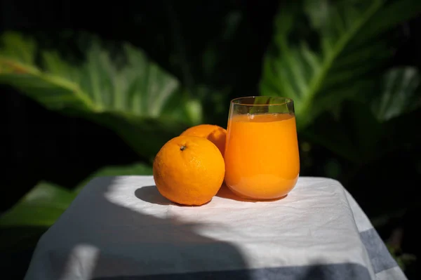 Glass Fresh Orange Juice Fresh Fruits Morning — Stock Photo, Image
