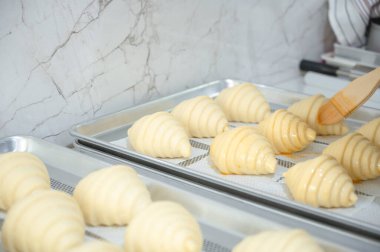 Çiğ kruvasan tepside yumurta fırçalamaya hazır..