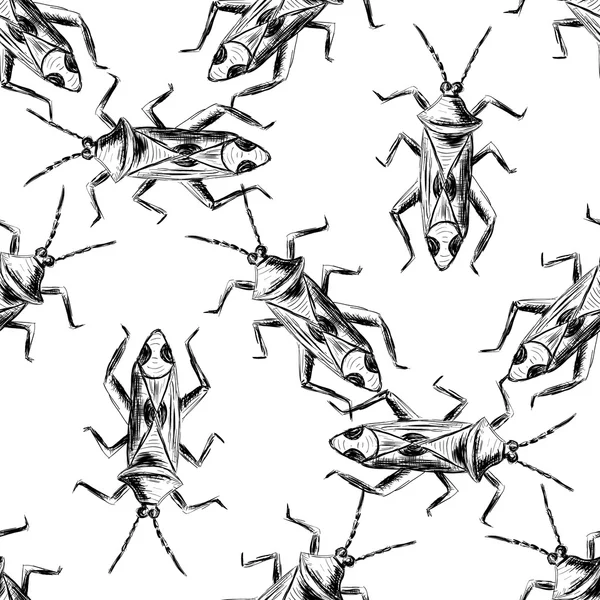 Hand drawn Sketch Beetles Seamless Pattern — Stock Vector