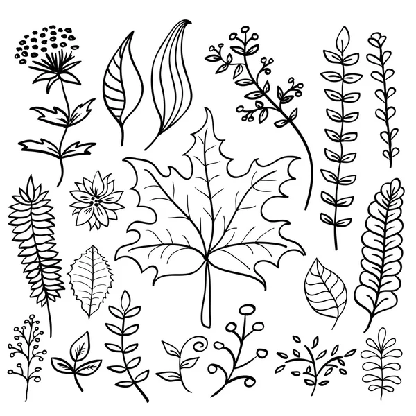 Juego de hojas de garabato dibujadas a mano — Archivo Imágenes Vectoriales