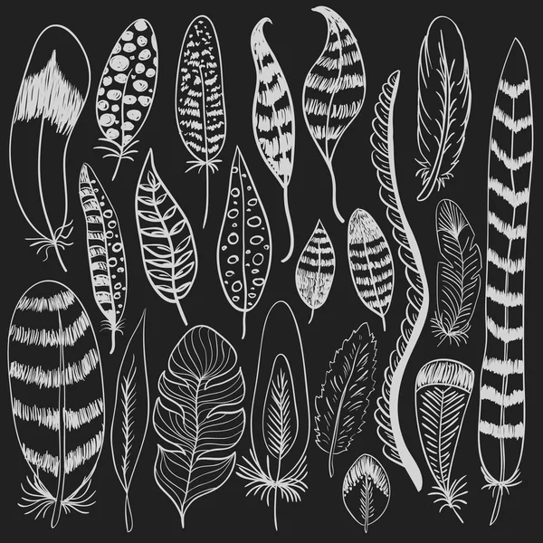 Hand drawn doodle feathers set — Stockový vektor