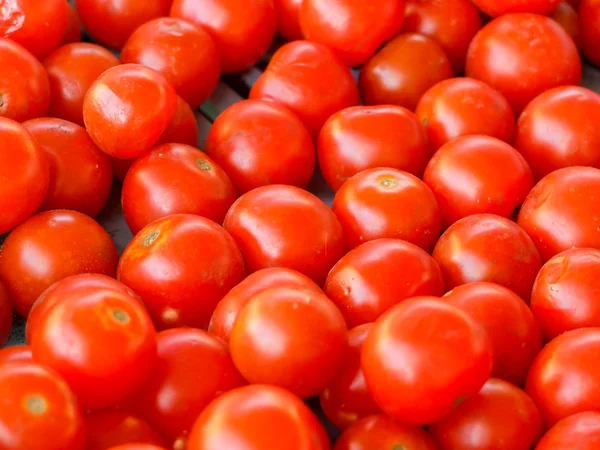 Pomodori — Foto Stock