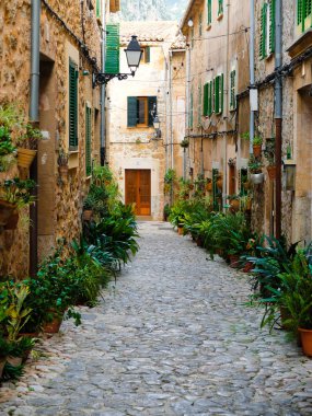Valldemosa