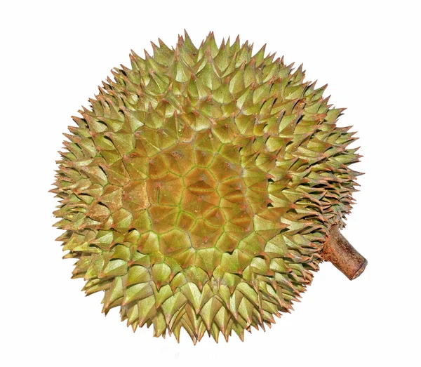 Durian Aislado Sobre Fondo Blanco —  Fotos de Stock