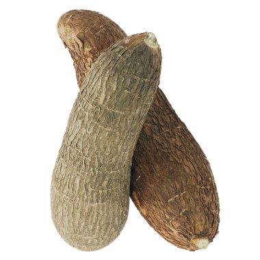 Cassava 'nın tek nesnesi beyaz arkaplanda izole edildi