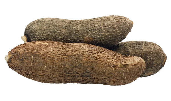 Single Object Van Cassava Geïsoleerd Witte Achtergrond — Stockfoto