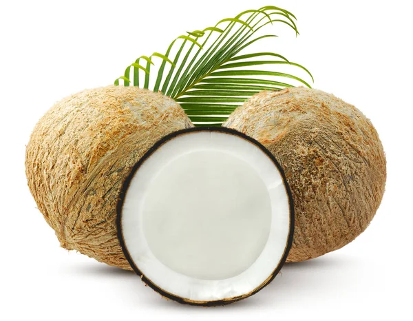 Skupina Kokosových Plodů Listů Izolovaných Bílém Pozadí — Stock fotografie