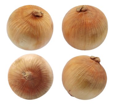 Soğan ampullerinin tek bir nesnesi beyaz arkaplanda izole edildi