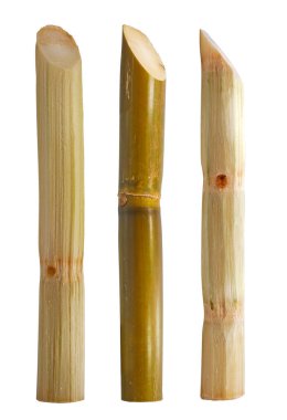 Şeker kamışının tek bir nesnesi beyaz arkaplanda izole edilmiş