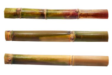 Şeker kamışının tek bir nesnesi beyaz arkaplanda izole edilmiş