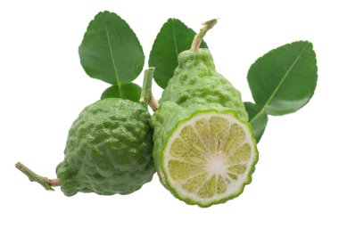 Beyaz arkaplanda izole edilmiş Kaffir kireç meyveleri