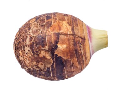 Taro beyaz arkaplanda izole edildi