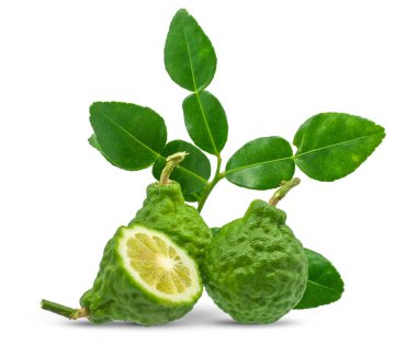 Beyaz arkaplanda Kaffir kireç izole