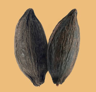 Kakao veya Kakao meyveleri beyaz arka planda izole