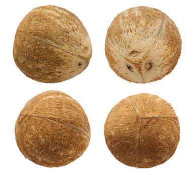 Beyaz arkaplanda hindistan cevizi palmiyesi meyveleri izole