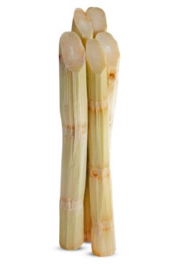 Beyaz arkaplanda izole şeker kamışı