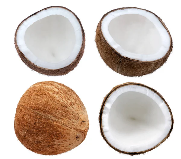 Kokosové Palmy Ovoce Izolované Bílém Pozadí — Stock fotografie