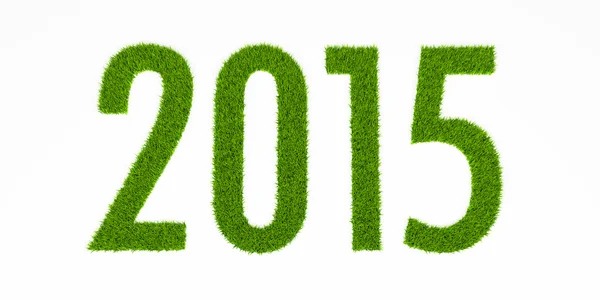 2015 grass year — Stock Photo, Image
