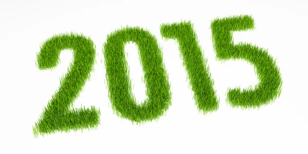 2015 year grass in perspective — Stock Photo, Image