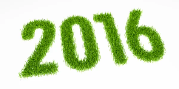 New year 2016 from grass — Stock Photo, Image