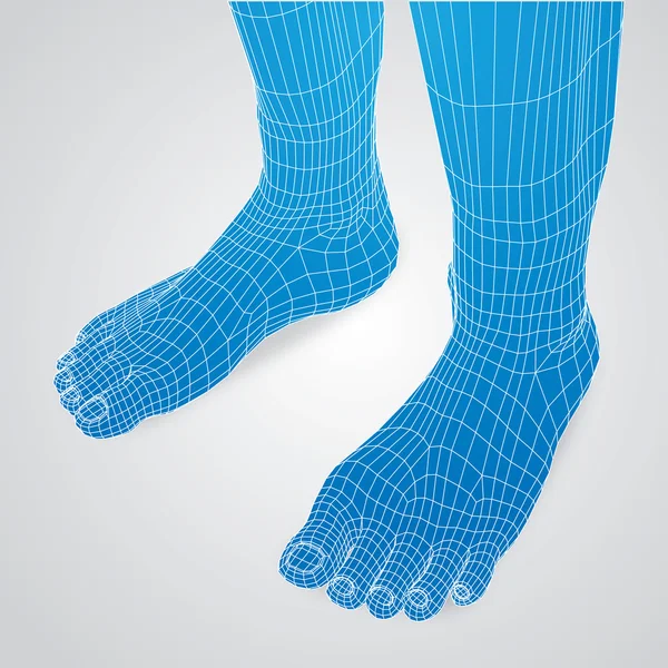 3d foot in polygon — Stock Photo, Image