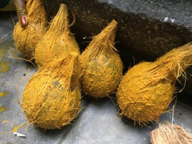 Hintli kadınların Hindu dini ritüelleri gereğince ev evliliğini kutlamak için yaptığı hindistancevizi uygulaması.