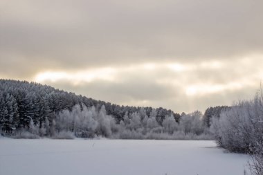 Kış ormanı ve gölün üzerinde bulutlarla dramatik bir gökyüzü. Kış ve soğuk doğa. Ormanın yakınındaki donmuş göl, tamamen karla kaplı..