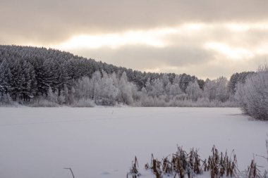 Kış ormanı ve gölün üzerinde bulutlarla dramatik bir gökyüzü. Kış ve soğuk doğa. Ormanın yakınındaki donmuş göl, tamamen karla kaplı..