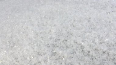 Bir sürü taze ve beyaz kar. Kar taneleri güneşte parlar ve parlar. Güzel kış arkaplanı ve atmosferi