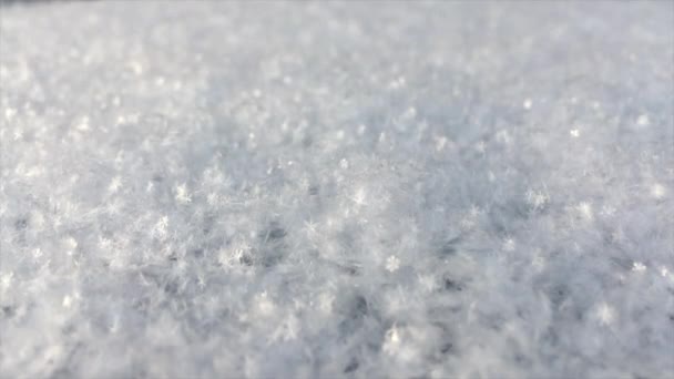 Veel Frisse Witte Sneeuw Sneeuwvlokken Schitteren Schitteren Zon Mooie Winterse — Stockvideo
