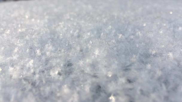 新鮮で白い雪がたくさん 雪の結晶が輝き 太陽の下で輝きます 美しい冬の背景と雰囲気 — ストック動画
