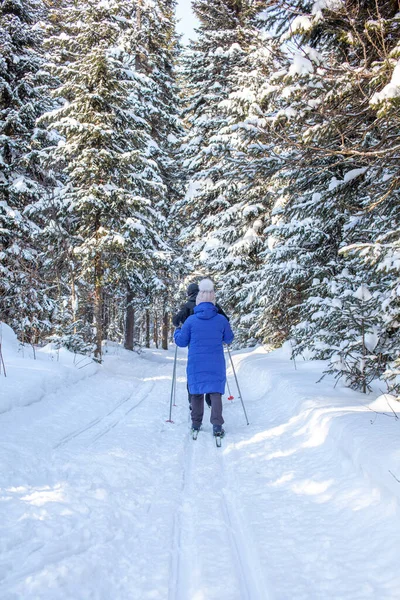 一个穿着蓝色夹克的女孩去雪地的森林里滑雪 从后面看风景 雪地背景 树间有滑雪板 滑雪道 — 图库照片