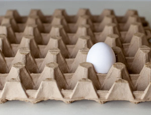 The only egg with a white shell among the empty cells of a large cardboard package, a chicken egg as a valuable nutritious product, the last egg from the tray for carrying fragile items