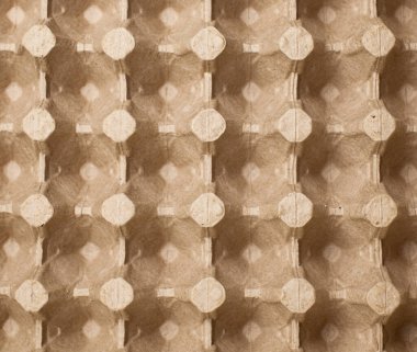 Yumurta depolamak için koruyucu karton ambalaj. Kağıt hamurundan yapılmış, biyo-çözünebilir yumurta kutusu.. 