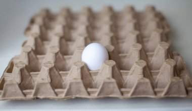 Büyük bir karton paketin boş hücreleri arasında beyaz kabuklu tek yumurta, değerli bir besleyici ürün olarak bir tavuk yumurtası, kırılgan nesneleri taşımak için tepsiden son yumurta