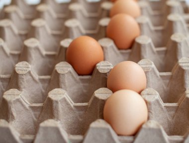 Büyük bir karton torbanın boş hücreleri arasında birkaç kahverengi yumurta, değerli bir besleyici ürün olarak bir tavuk yumurtası, kırılgan yumurtaları taşımak ve depolamak için bir tepsi. Bir yumurta öne çıkıyor.