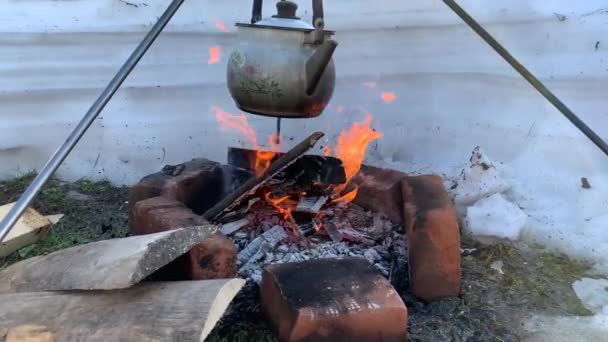 Bule Chá Turístico Paira Sobre Uma Fogueira Chamas Natureza Inverno — Vídeo de Stock